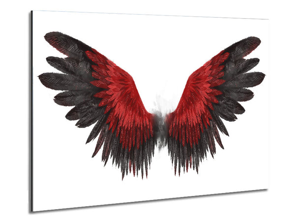 The Read Feathers Of A Bird Metal Print