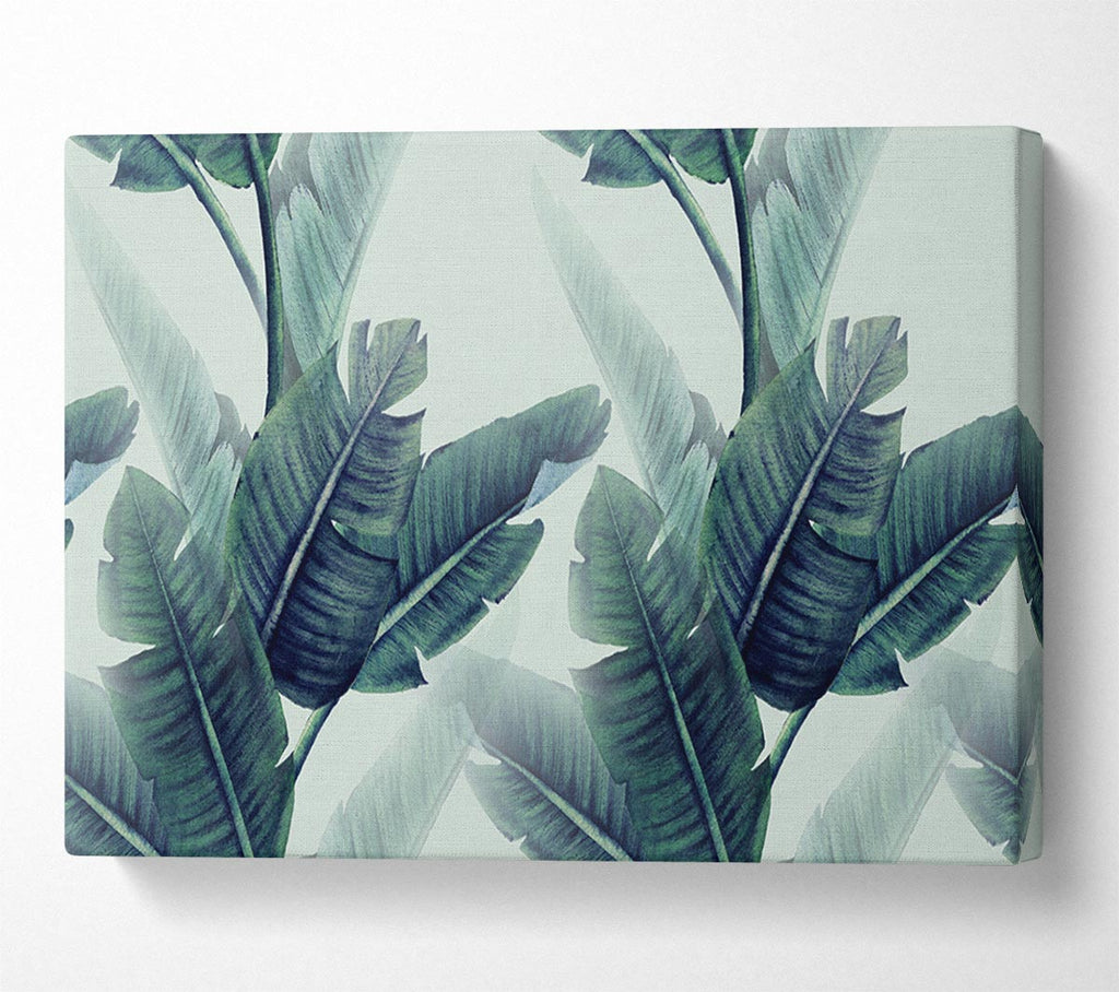 Picture of Green Banana Leaves Canvas Print Wall Art