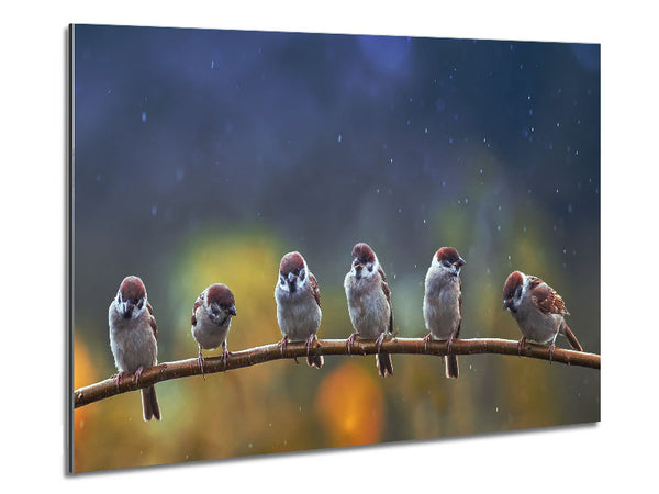 The Tits On A Branch Metal Print