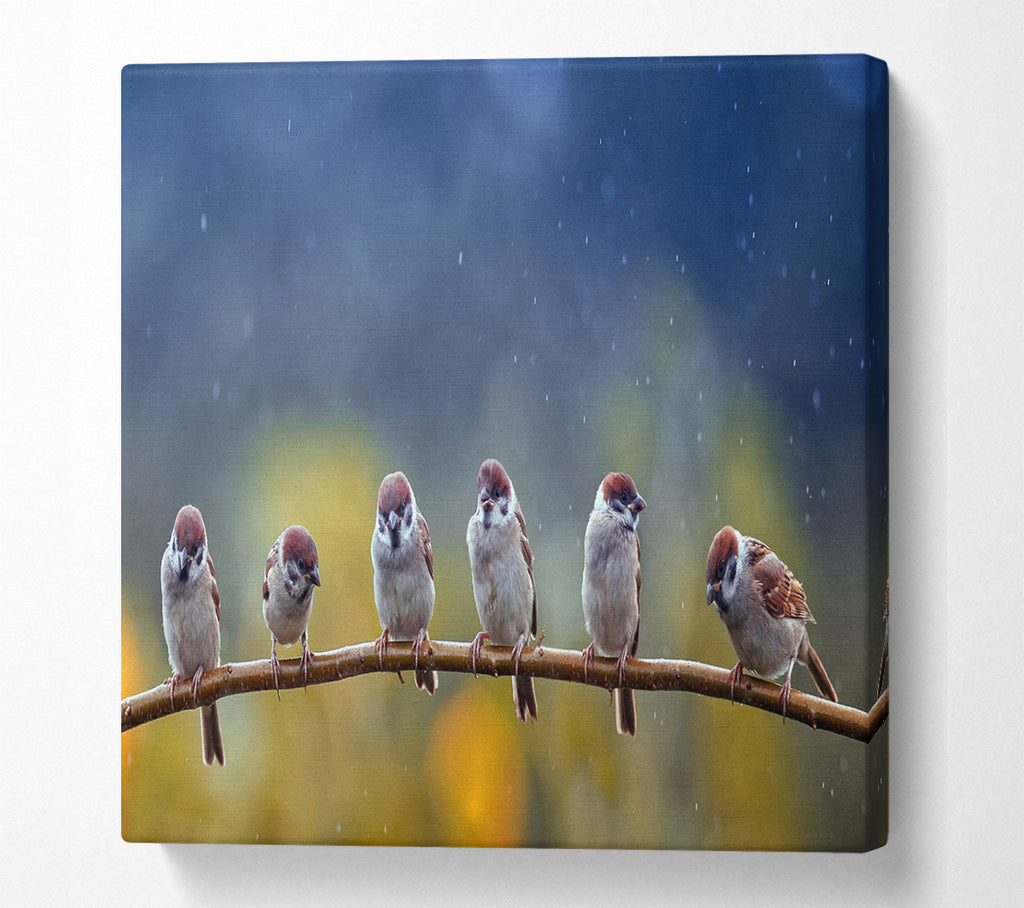 A Square Canvas Print Showing The Tits On A Branch Square Wall Art