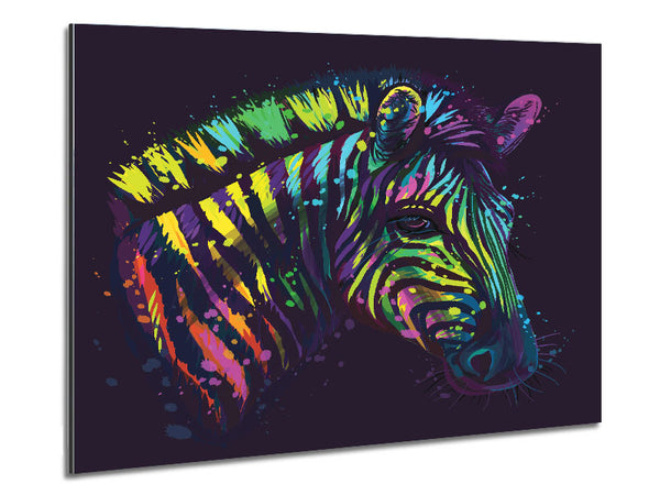 Rainbow Zebra Life Metal Print