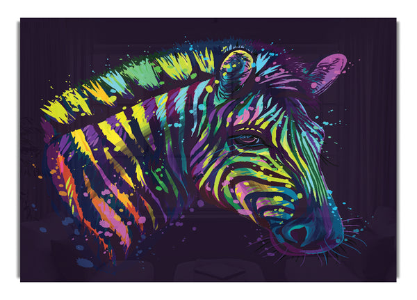 Regenbogen Zebra Leben