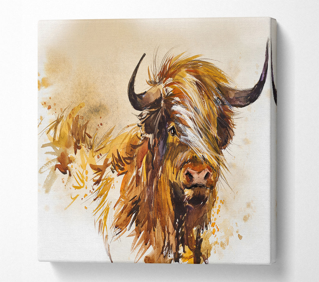 A Square Canvas Print Showing The Orange Highland Cow Square Wall Art