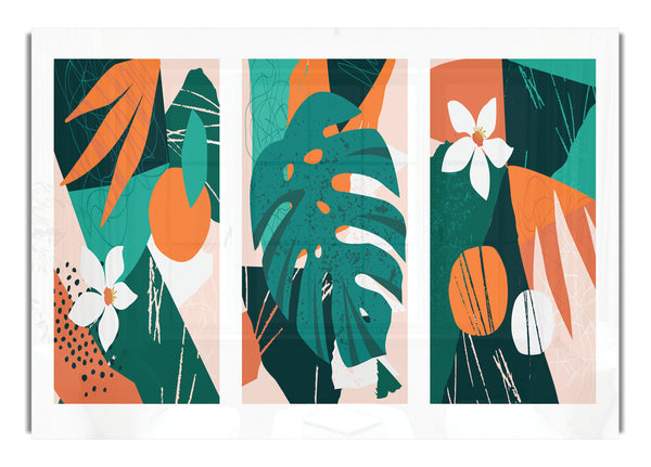 The Modern Cheese Plant Set