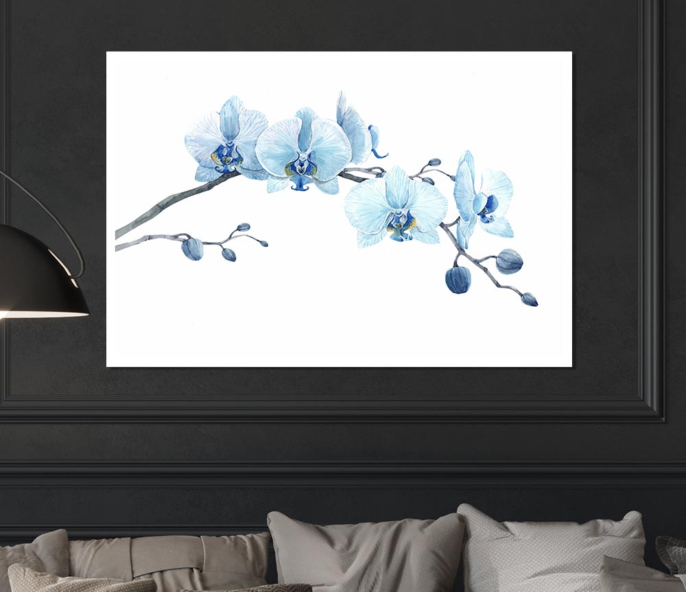The Blue Orchid Curve Print Poster Wall Art