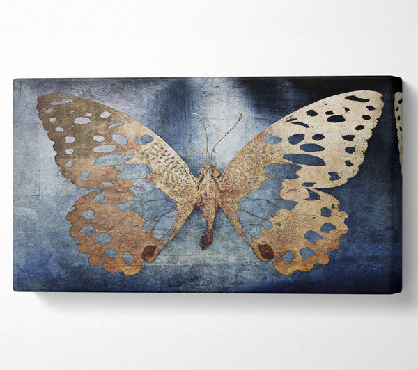Goldflocken-Schmetterling