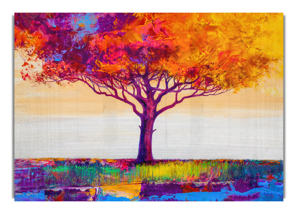 The Orange Tree Paradise