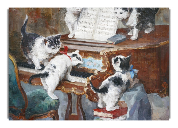 Die Katzen spielen Klavier