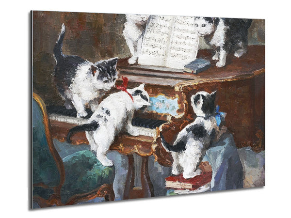 Die Katzen spielen Klavier