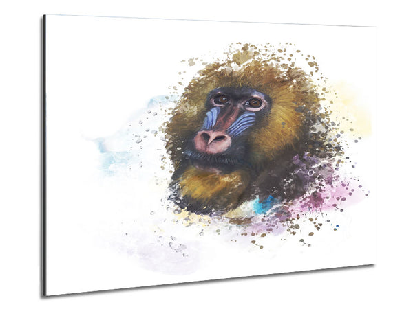 Mandrill Watercolour Splash Metal Print