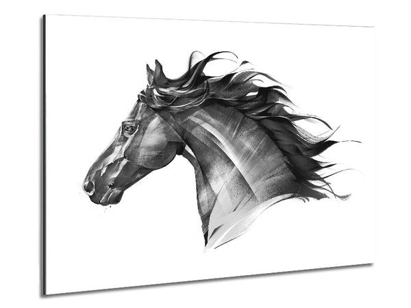 Schwarzes Pferd