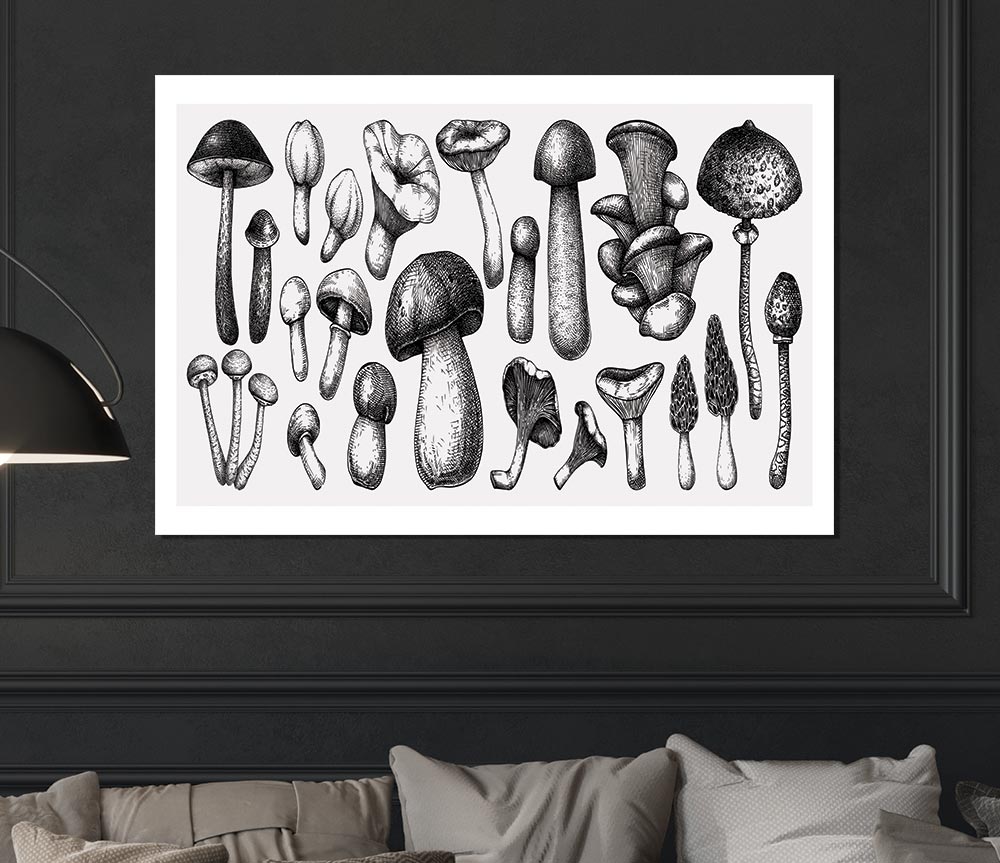 The Toadstool Collection Print Poster Wall Art