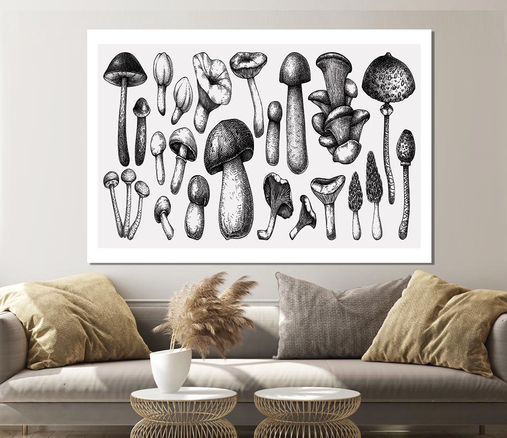 The Toadstool Collection Print Poster Wall Art