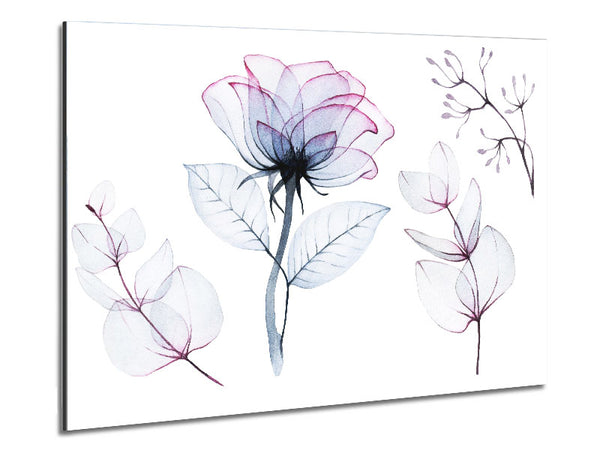 Transparenz Blumen