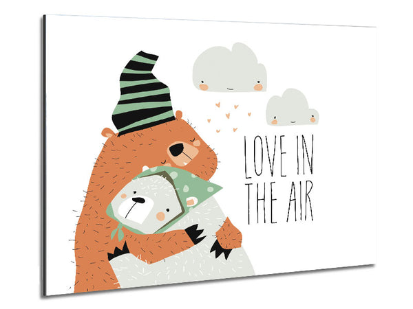 Love In In The Air Bears Metal Print