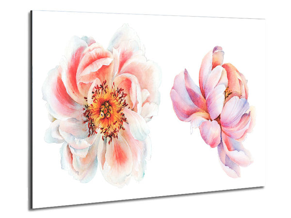 Zwei schöne rosa Pfirsichblüten