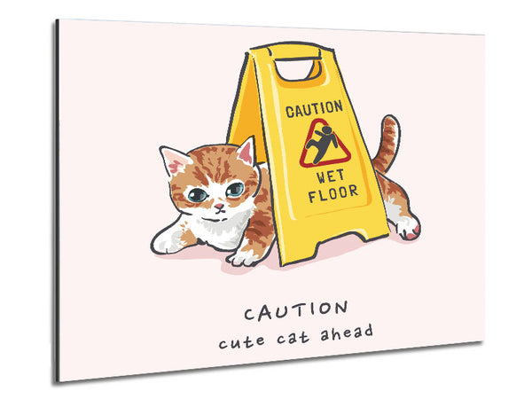 Vorsicht, süße Katze