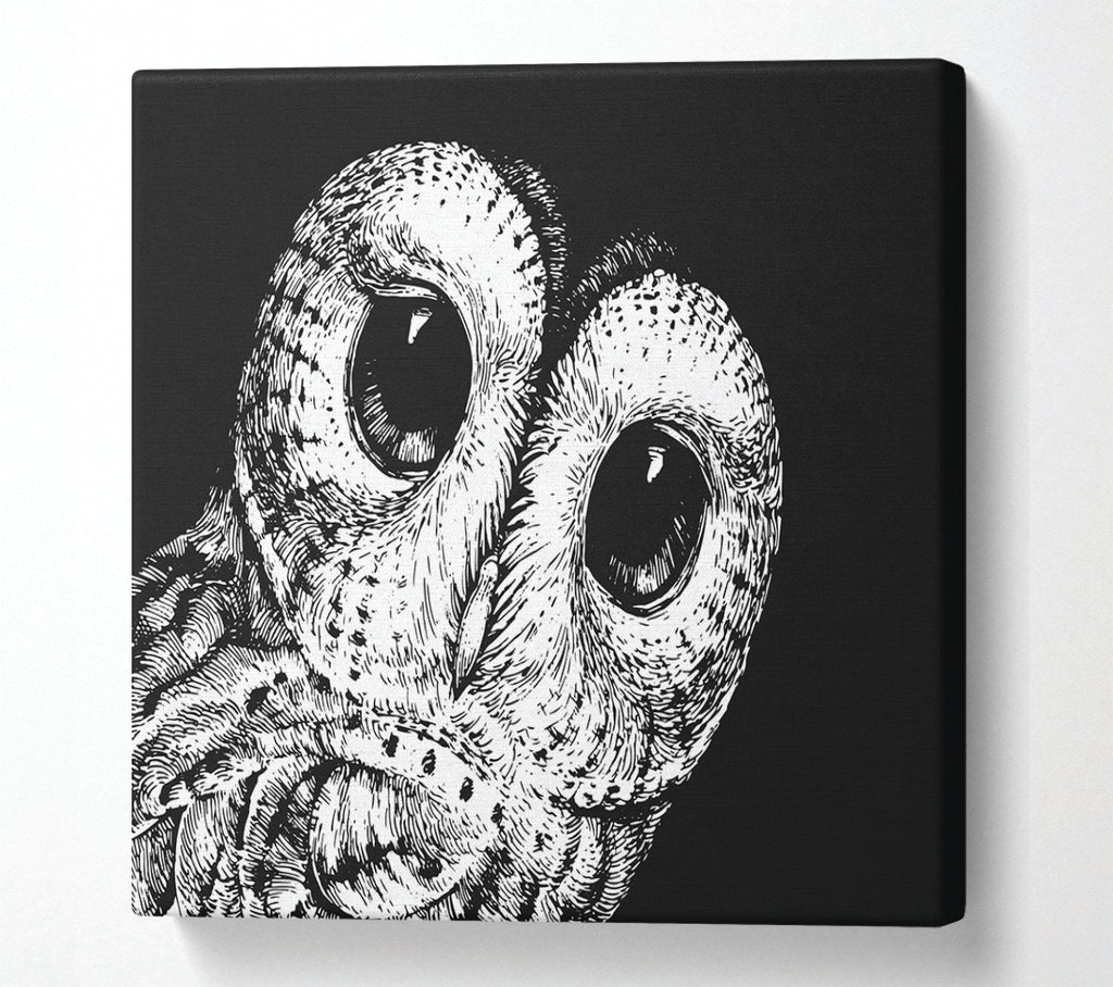 A Square Canvas Print Showing The Big Eyed Owl Square Wall Art
