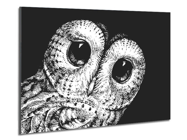 The Big Eyed Owl Metal Print
