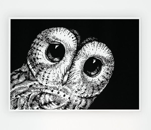 The Big Eyed Owl Print Poster Wall Art