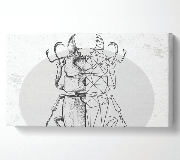 Die Hirschkäfer-Skizze