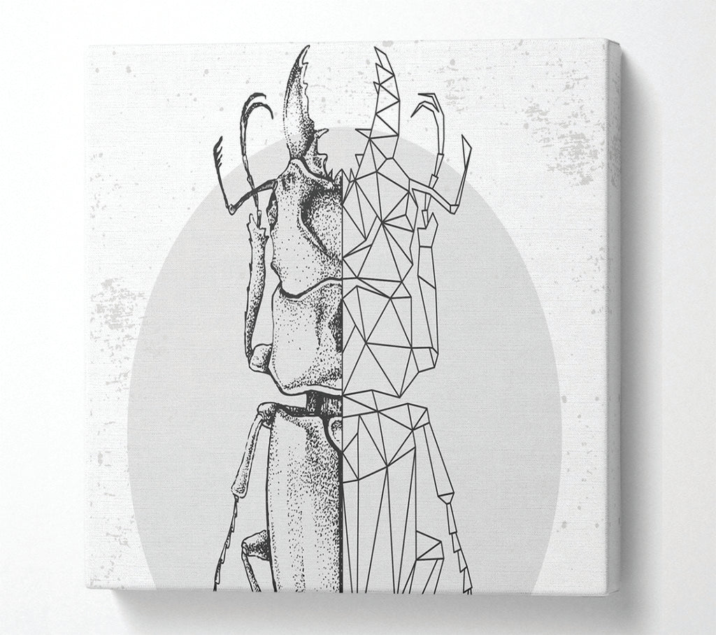 A Square Canvas Print Showing The Stag Beetle Sketch Square Wall Art