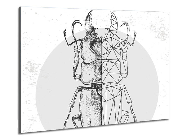 The Stag Beetle Sketch Metal Print