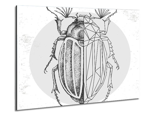 The Beetle Sketch Metal Print