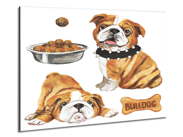 The Bull Dog Pup Metal Print