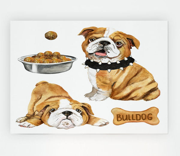 The Bull Dog Pup Print Poster Wall Art