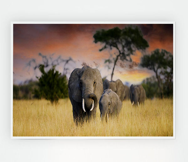 Elephants In Savannah Print Poster Wall Art
