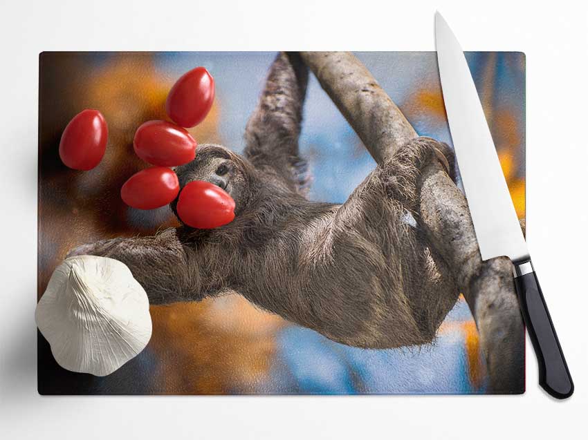 Sloth Hanging From A Tree Glass Chopping Board