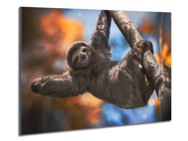 Sloth Hanging From A Tree Metal Print