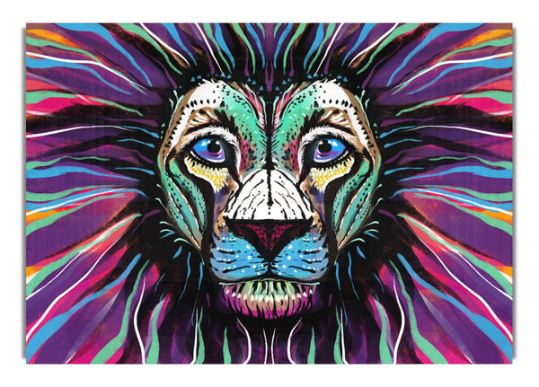The Lion Rainbow Face