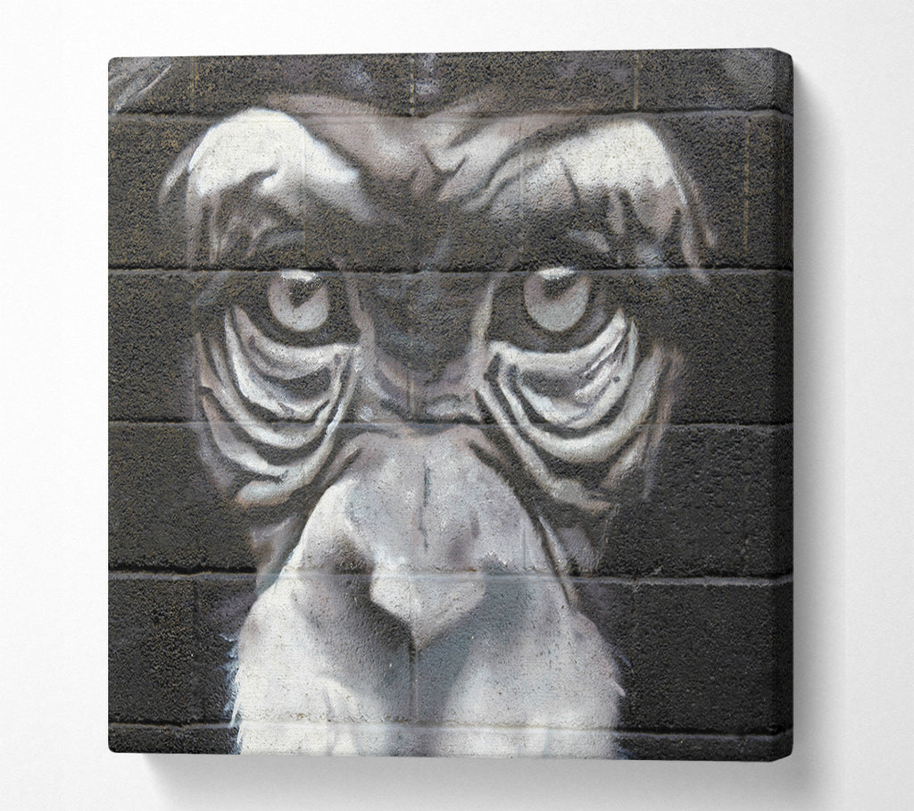 A Square Canvas Print Showing The Chimp Eyes Square Wall Art
