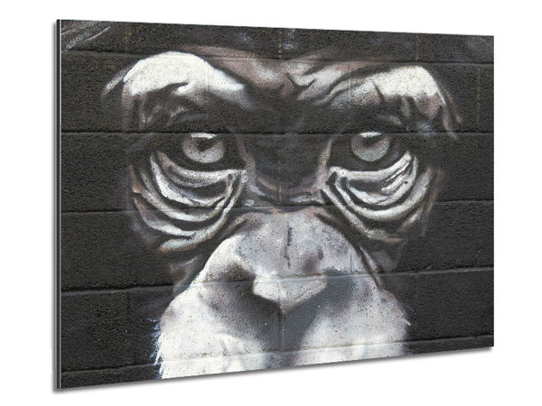 The Chimp Eyes Metal Print