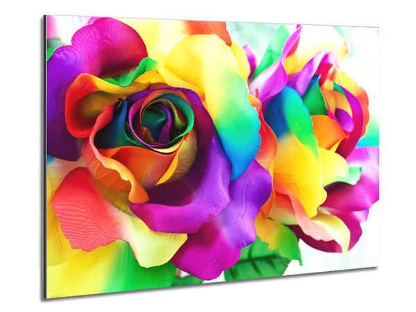 Mehrfarbige Rosen Schließen