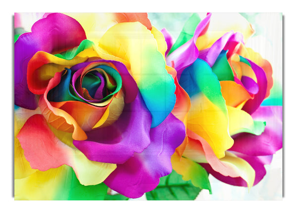 Mehrfarbige Rosen Schließen