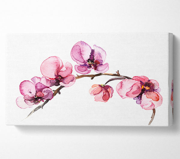 The Pink Orchid Branch Single