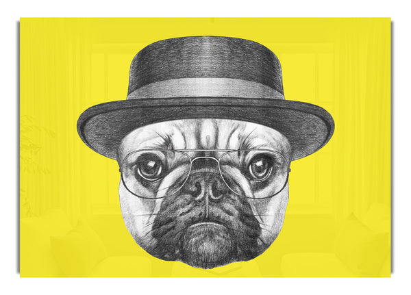 Der Mops mit Hut