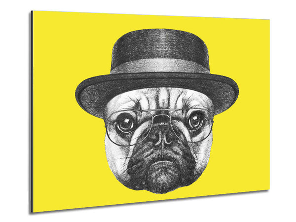 Der Mops mit Hut