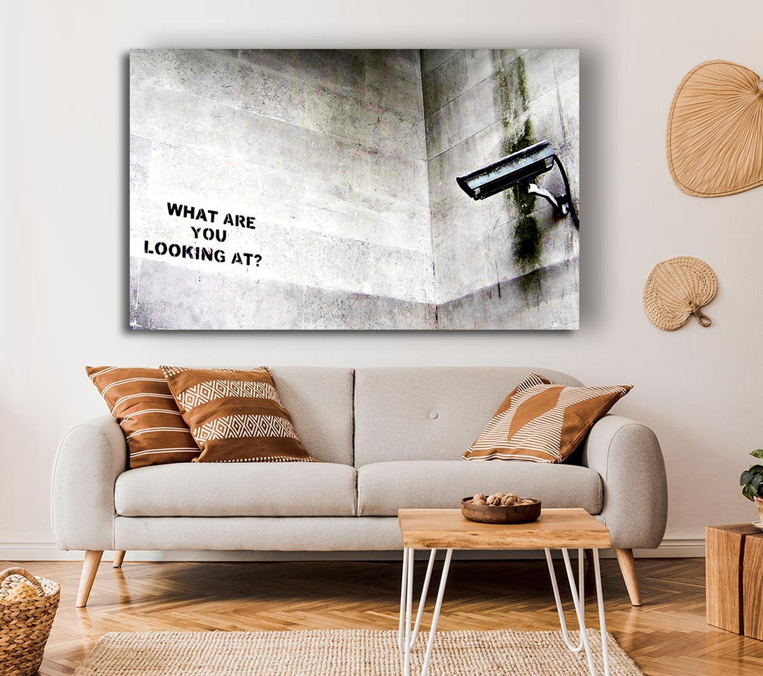 Picture of What Are You Looking At Canvas Print Wall Art