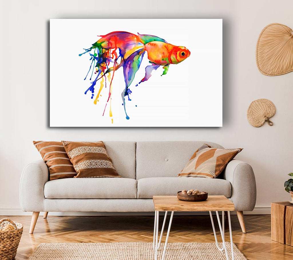 Picture of Rainbow Goldfish Canvas Print Wall Art