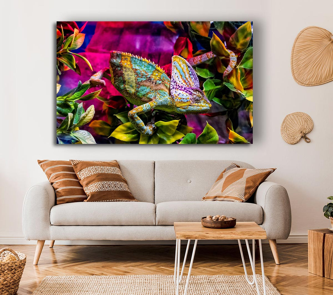 Picture of Chameleon In The Pink Canvas Print Wall Art