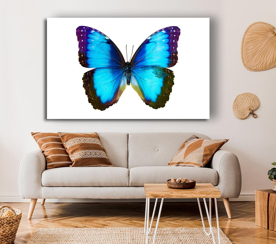 Picture of Electric Butterfly Canvas Print Wall Art