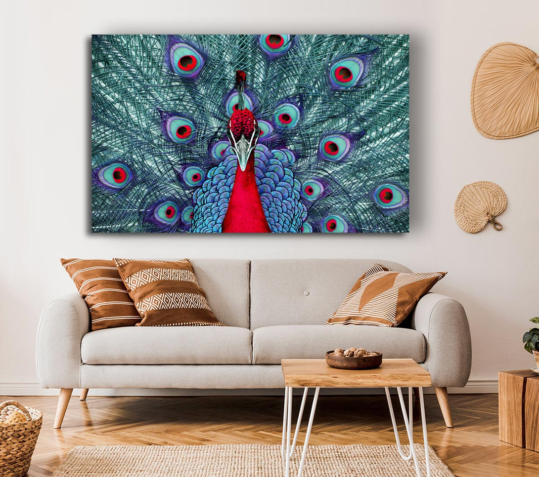  A Canvas Print of Peacock Beauty Canvas Wall Art