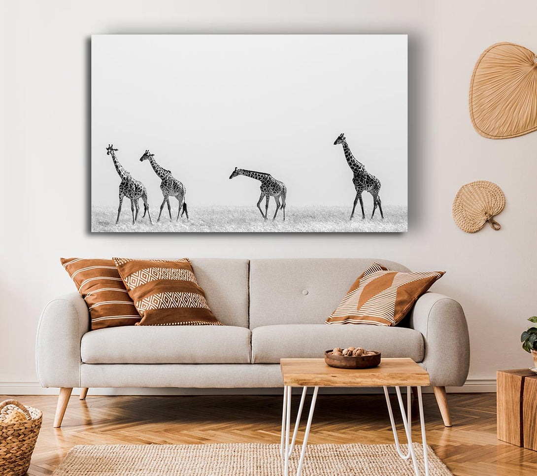  A Canvas Print of Giraffe Safari LineUp Canvas Wall Art
