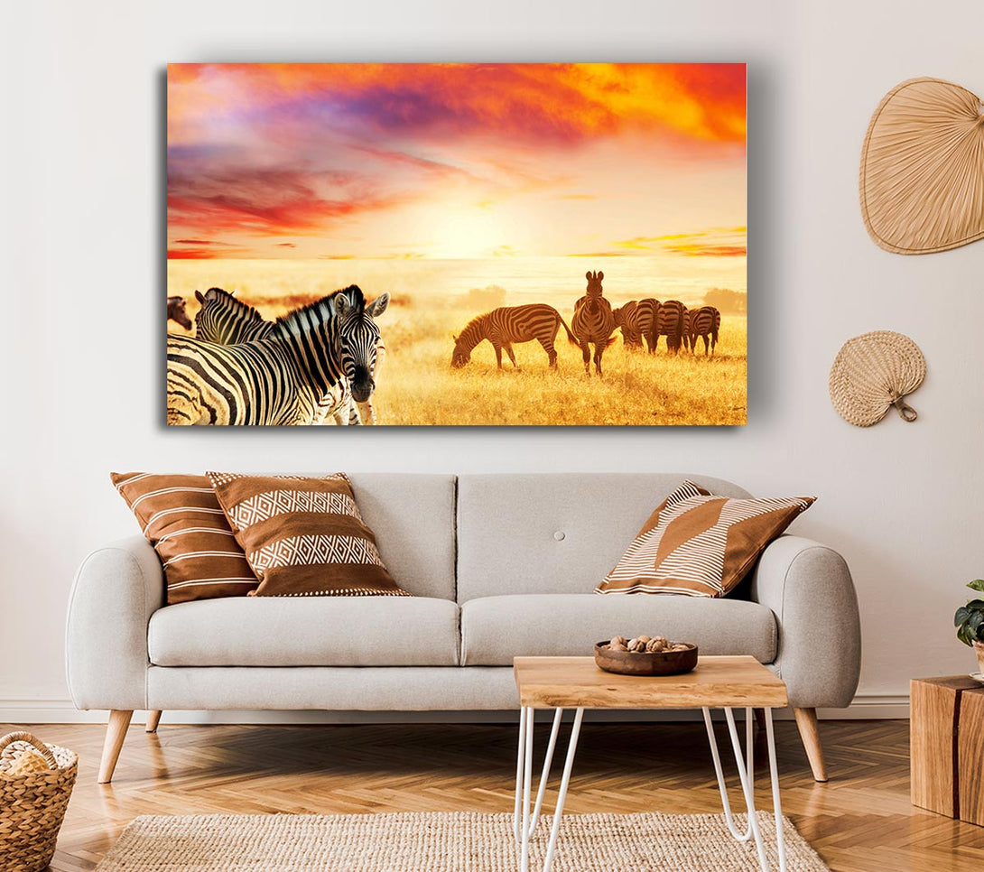 Picture of Zebra Sunset Safari Canvas Print Wall Art