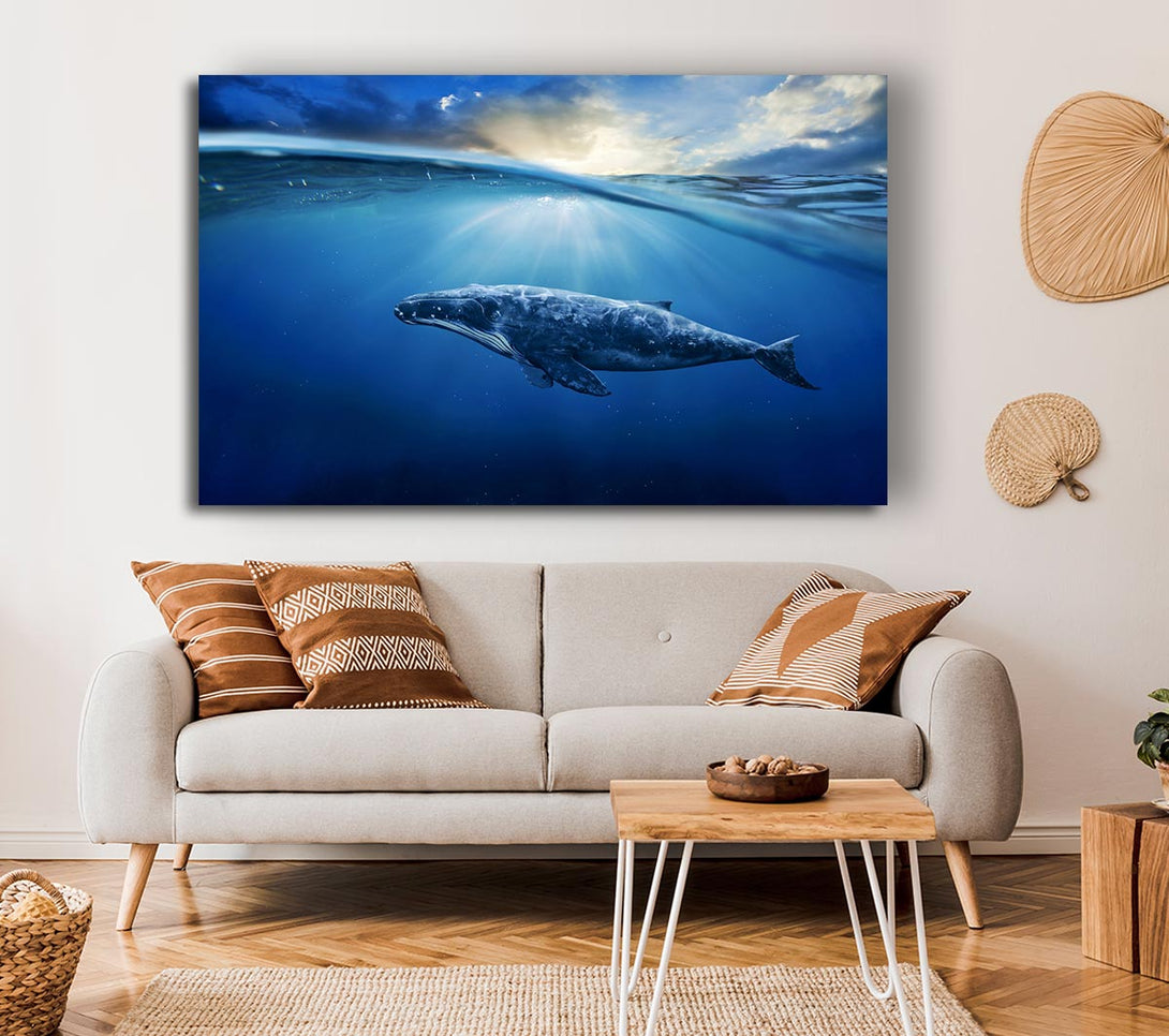  A Canvas Print of Ocean Whale Canvas Print