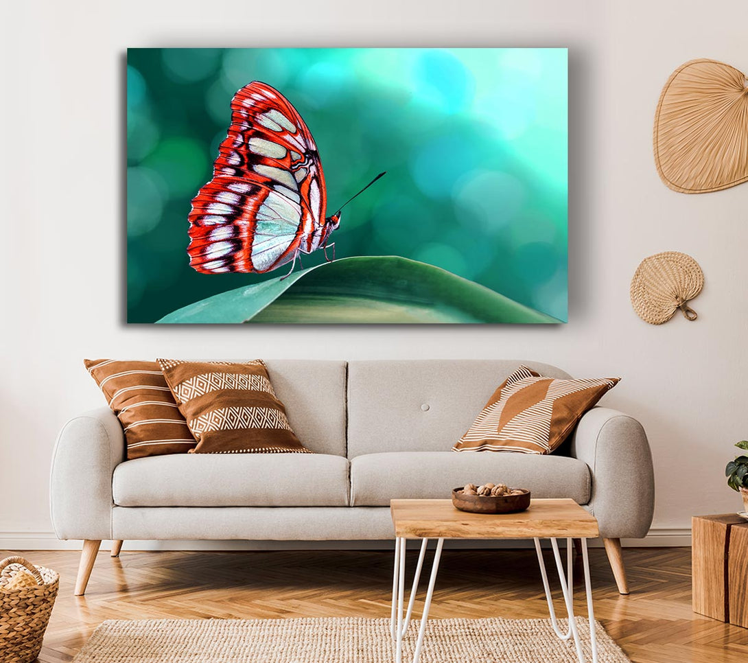  A Canvas Print of Butterfly Wings 1 Canvas Wall Art